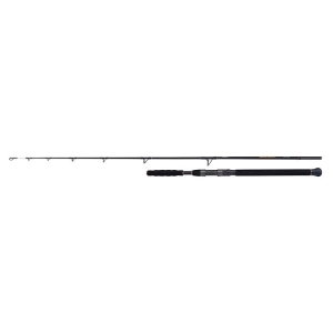 SHIMANO Beastmaster Beastmaster Catfish Vertic 1.85m 200g 1+1