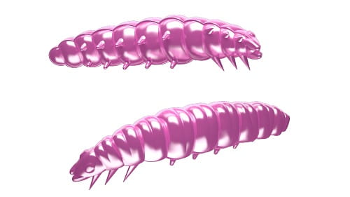 Libra Lures Larva Kol.18.jpg