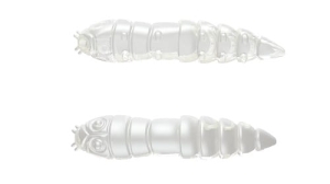 Libra Kukolka 27mm krill Kol.4 15buc