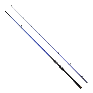 Spinnrute Hype Tackle H2 2.51m Până la 110g 2sec Cast