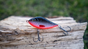 Kashub-Bait Jerk Danire 6 Bombă 15G S