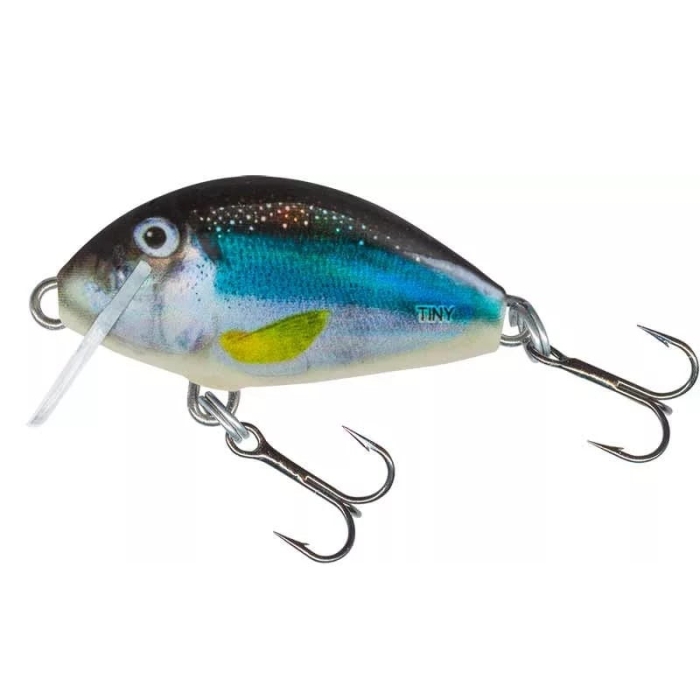 Wobler Salmo Tiny 3,0cm Holo Smelt.jpg