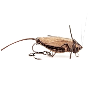 Wobbler IMAGO LURES Hopper 3,5cm F 1,7g LBDB