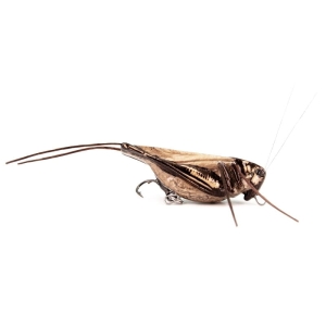 Wobbler IMAGO LURES Hopper 4,5cm F 2,7g LBDB