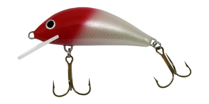 Gloog Hektor 60 8,5g Floating K RH.jpg