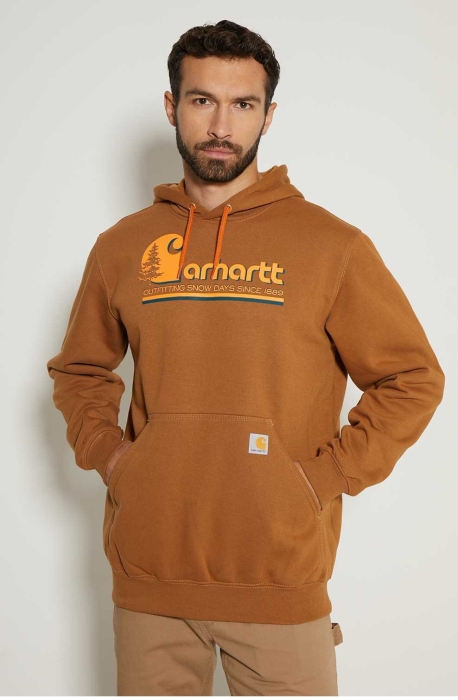 /environment/cache/images/productGfx_130822_700_700/Bluza-Carhartt-Graphic-Hooded-Sweatshirt-S.jpg