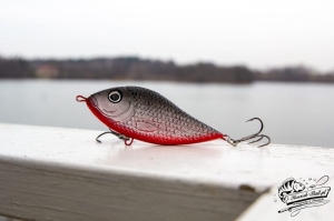 Kashub-Bait Jerk Danire 8 Bombă 30G S