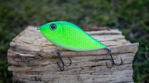 Kaşub-Bait Jerk Danire 8 Verde UV 30G S