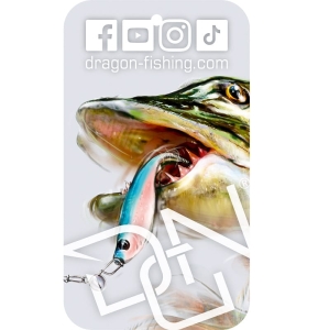 DRAGON Pike Parfum alb pandantiv Mașină nouă
