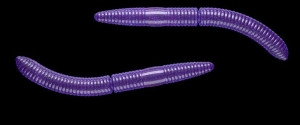 Libra Lures Fatty D'Worm 65mm Brânză Col.20 10pcs