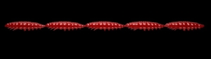 Libra Lures Larva Multi 021 Roșu Brânză 25pcs