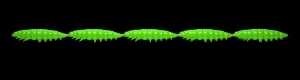 Libra Lures Larva Multi 026 Brânză verde fierbinte 25pcs