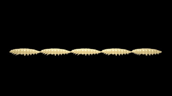 Libra Lures Larva Multi 004 Silver Pearl Che 65762323567235`35.jpg