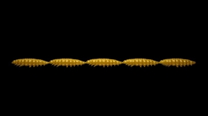 Libra Lures Larva Multi 036 Cafea Lapte Krill25pcs