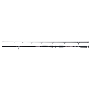 Jaxon Zaffira Catfish RT rod 2.70m la 550g 2sec