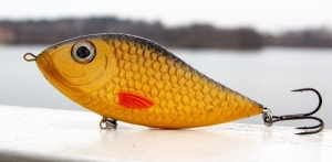 Kaşub-Bait Jerk Danire 6 aur 15G S