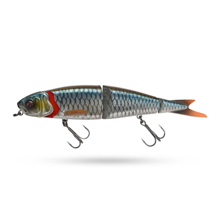SG 4Play CL Swim N Jerk 25cm 107g Roach.jpg