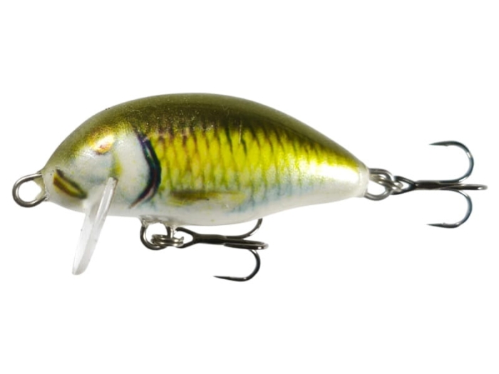 Wobler Kenart Chubby 4 GF.jpg