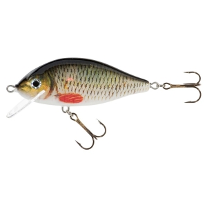 Wool Jaxon Karas 8cm Kol.A F