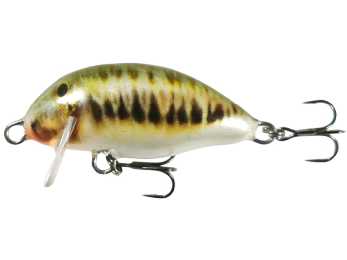 Wobler Kenart Chubby 4 M.jpg