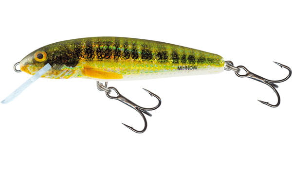 minnow-qmw038.jpg