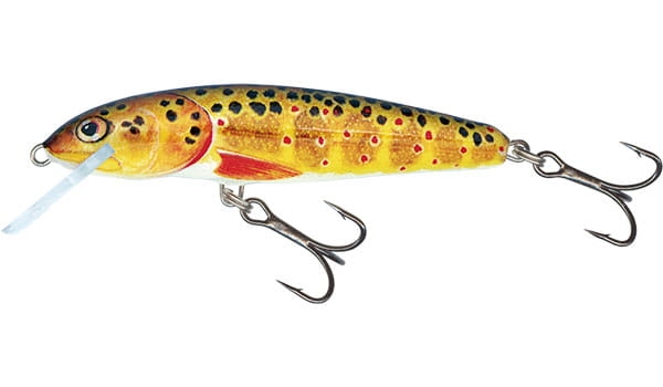 minnow-qmw012.jpg