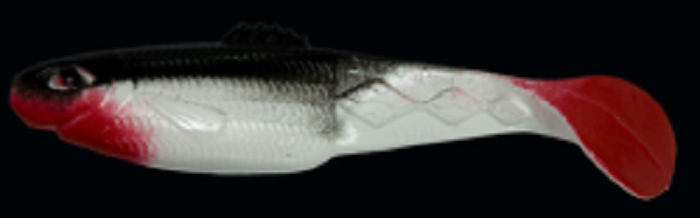 DS3-S002R.jpg