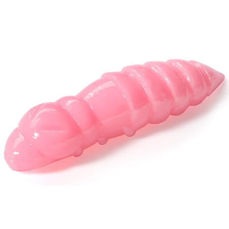 pupa-1.5-048.jpg