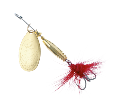 1-3035_0.png