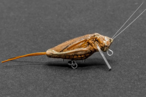 IMAGO LURES Hopper wobbler 3,5 cm F 2,2 g DBC