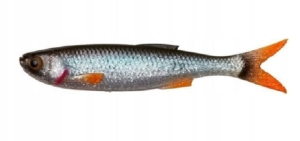SG Craft Dying Minnow 5.5cm 5.5cm 2g Roach l 5pcs