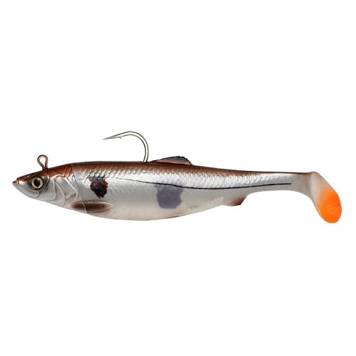 SG 4D Herring Big Shad S Haddock PHP.jpg