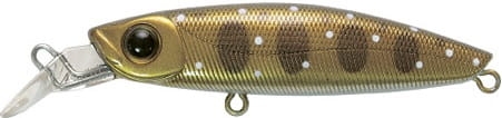 Wobler Pontoon21 GAGA GOON Kol.129.jpg