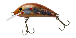Gloog Hektor 35N K:BT