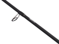 Abu Garcia Veritas Spin 2cz.2.jpg