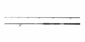 Abu Garcia BEAST Pike 842XH 2.54m 30-110g Spin 2cz