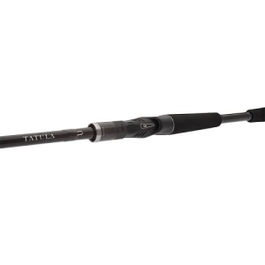 Daiwa Tatula XT Baitcast rod 2.08m 5-21g 2pc Cast