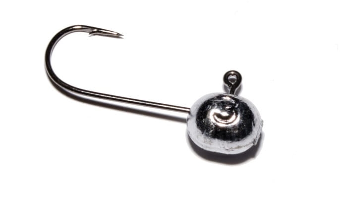 Główki_Dorado_Okoniowe_1