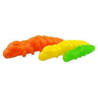 Pupa