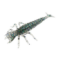 Diving Bug