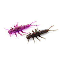 Stonefly